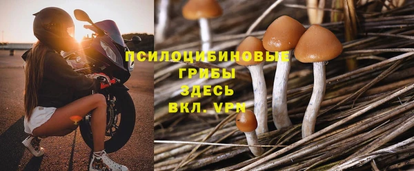 герыч Богородск