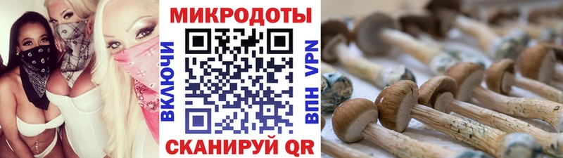 Псилоцибиновые грибы прущие грибы Зеленоградск